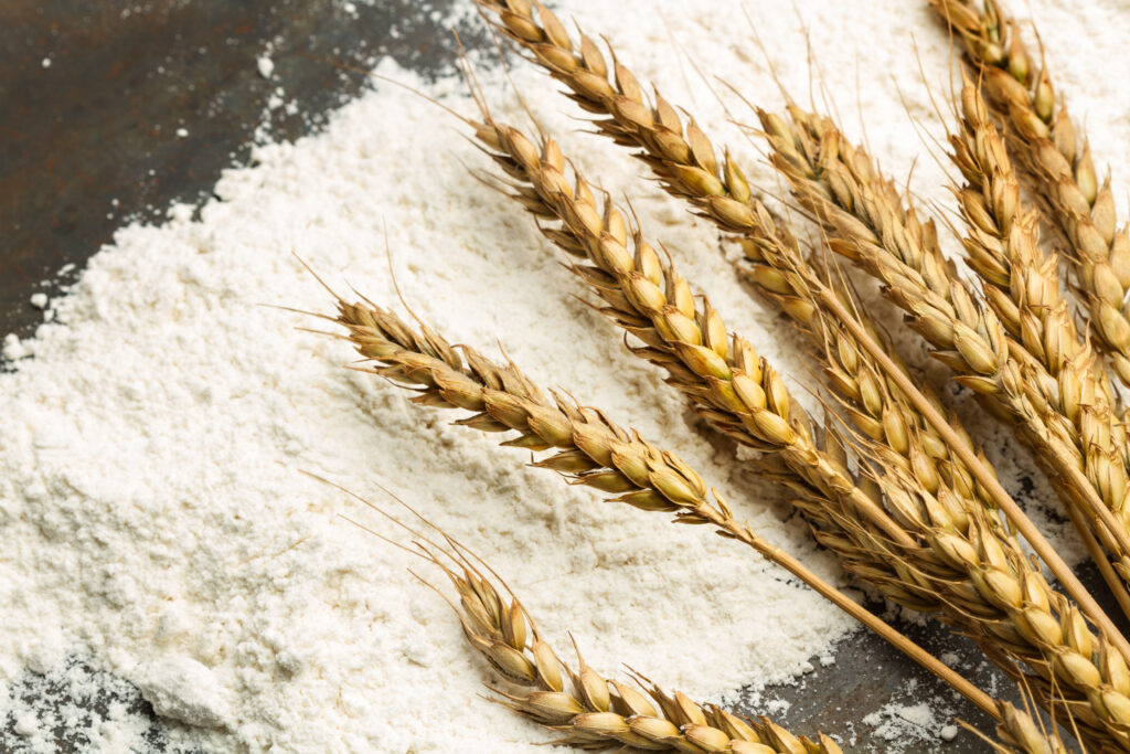 harina y espiga de trigo. vista superior y de cerca